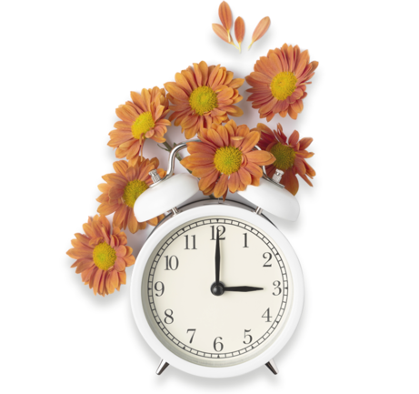 Классический Весна